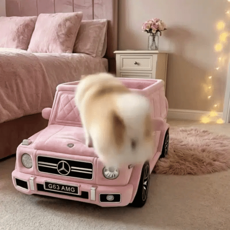 Leur petit bolide de luxe, rien qu'à eux